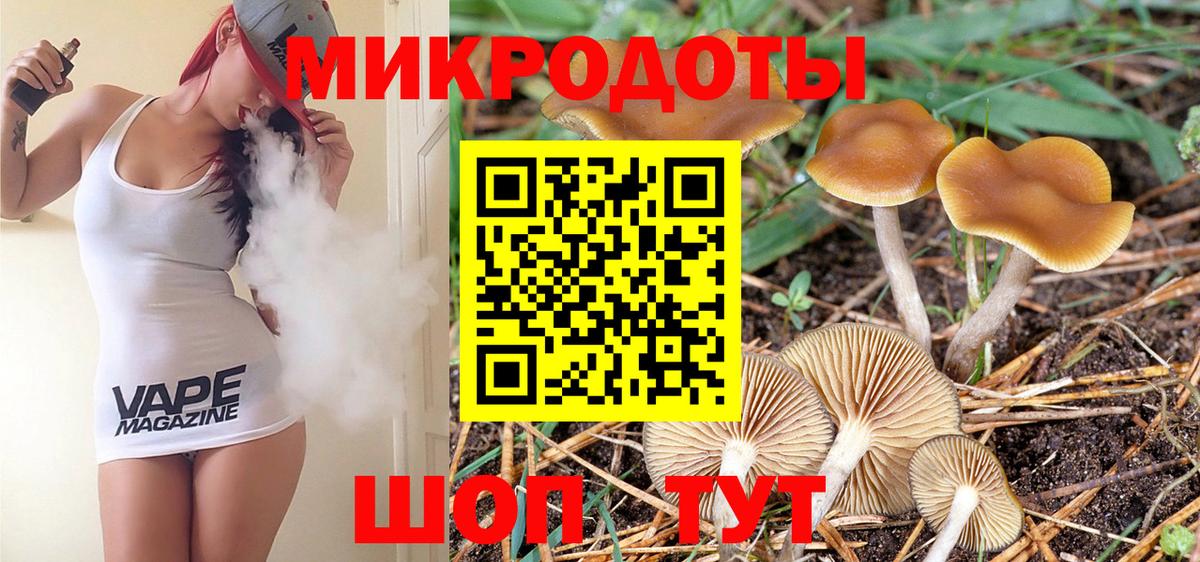 Юрга  Галлюциногенные грибы MAGIC MUSHROOMS  Псилоцибиновые грибы Cubensis  Вход с VPN 